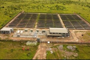 Nigeria Electrification Project (NEP)